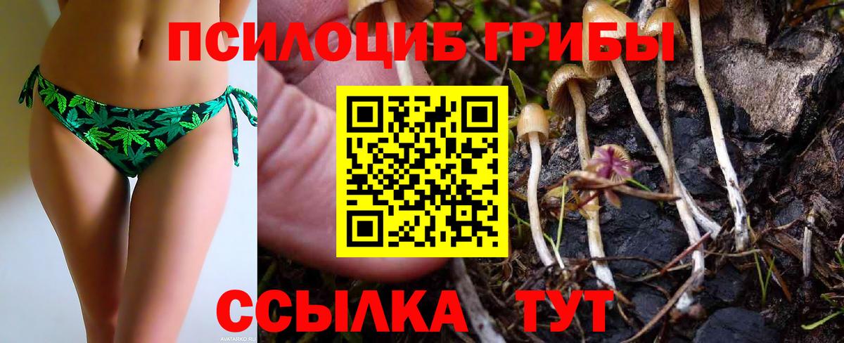 Галлюциногенные грибы Cubensis  Вход с VPN  Псилоцибиновые грибы GOLDEN TEACHER  Зерноград 
