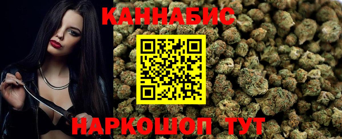 Бошки марихуана индика  Канабис конопля  Зерноград  Марихуана планчик  Бошки марихуана планчик  Вход с VPN 